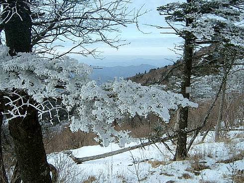 지리산 상고대 